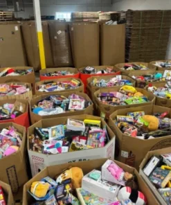 toy overstock liquidation pallets canada