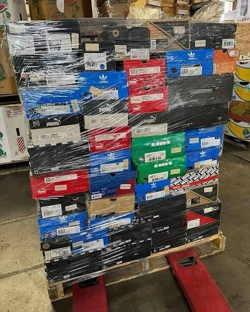 women's puma sneakers